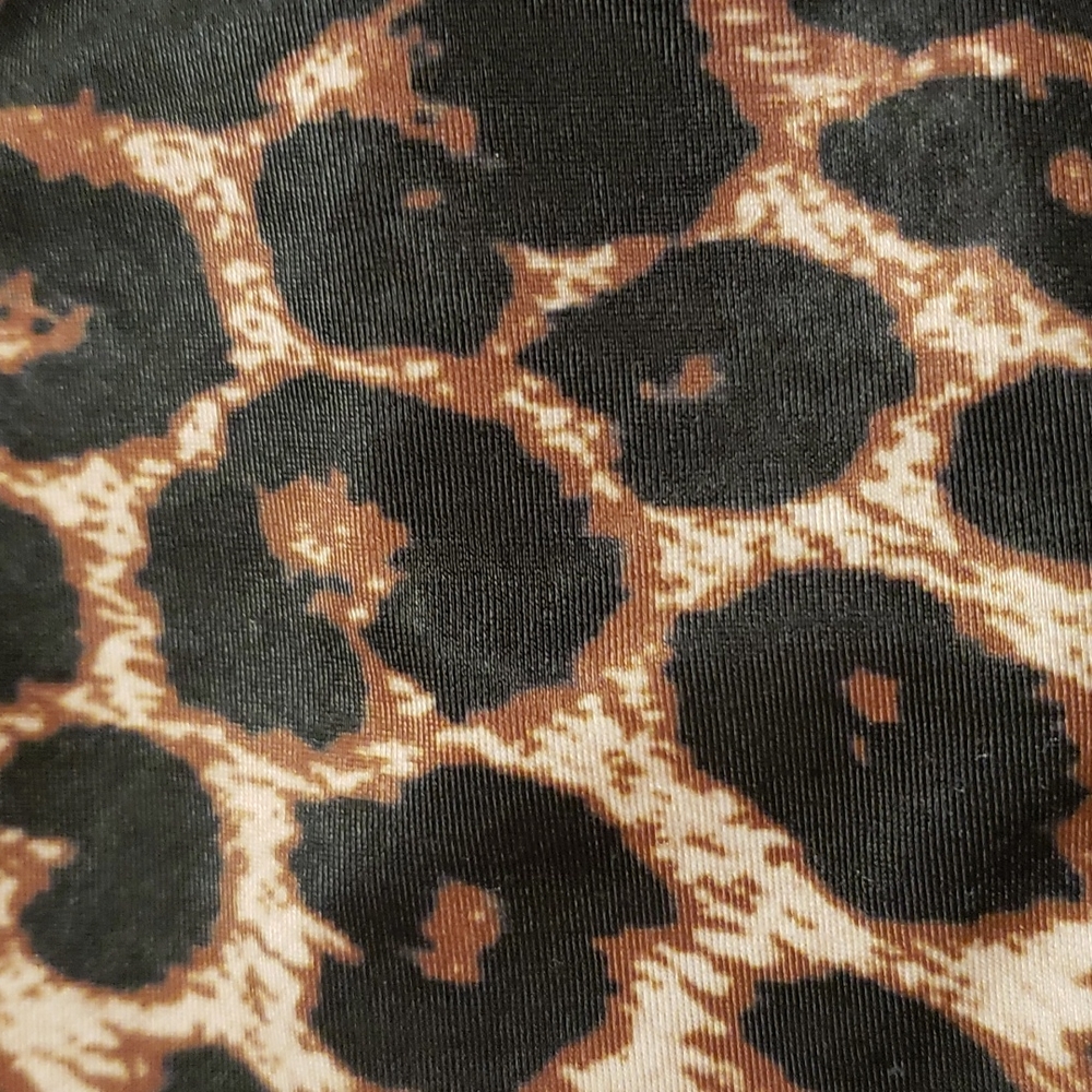 Leopard Print Oneteaspoon Bikini - image 8